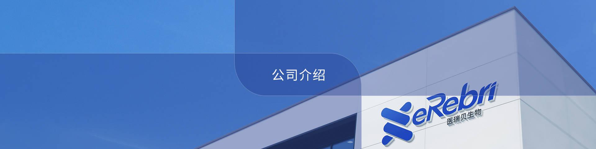 公司介紹