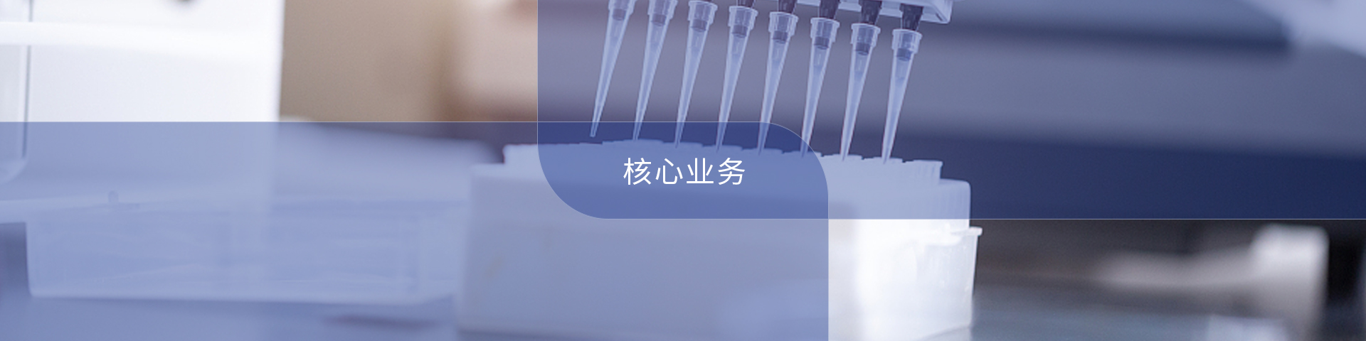 科研服務(wù)