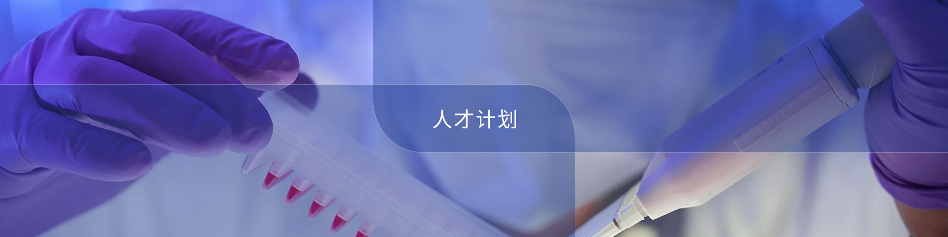 人才計(jì)劃