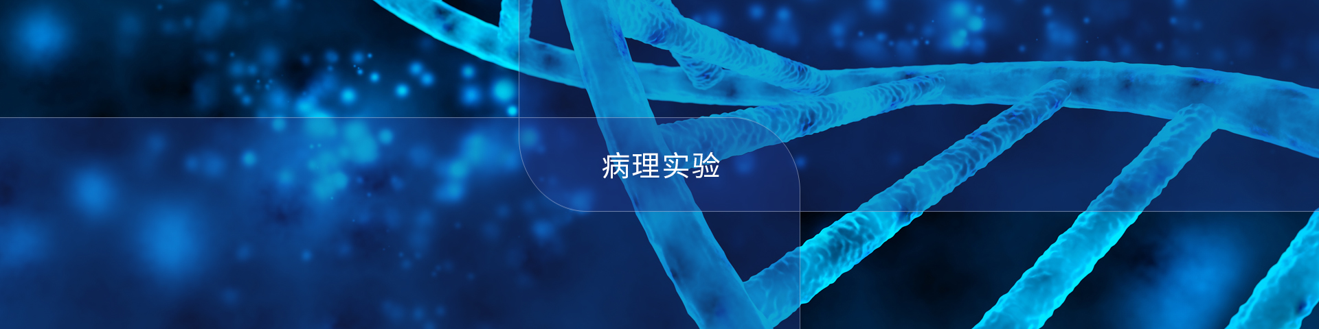 病理實驗