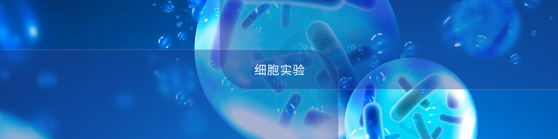 細胞實驗
