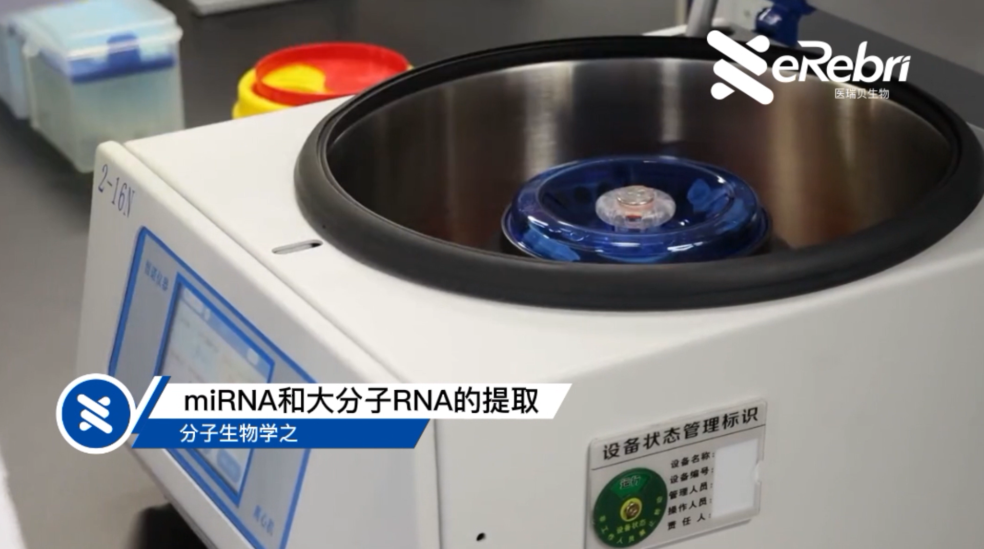 分子實(shí)驗(yàn)-miRNA和大分子RNA的提?。ㄏ拢?></div>
<div   id=