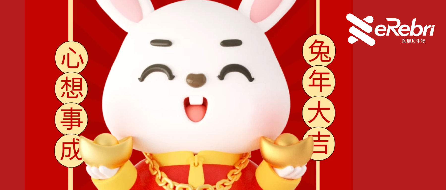 共赴新程｜醫(yī)瑞貝祝大家新年快樂(lè)！2023 宏“兔”大展